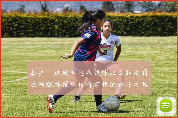 孙兴慜追赶车范根进球纪录距离再添两球韩国队传奇前锋的奋斗之路