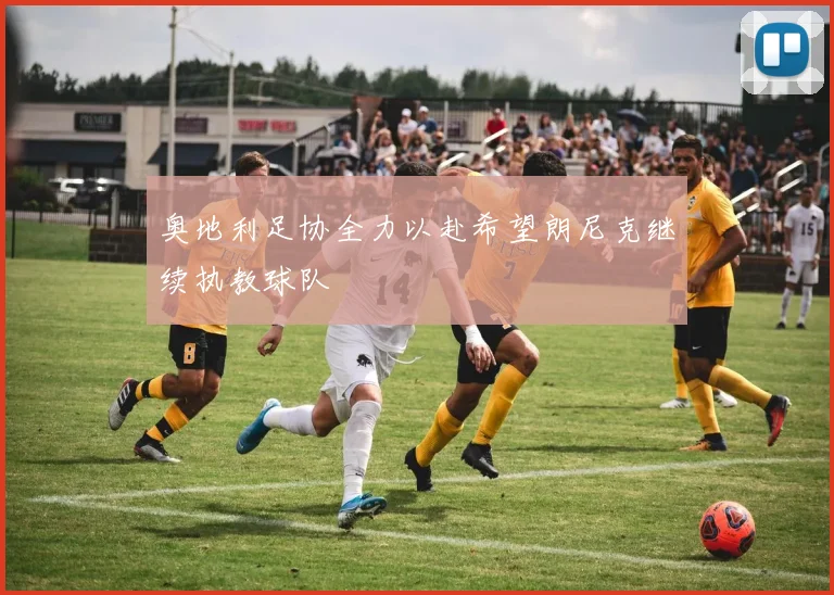 奥地利足协全力以赴希望朗尼克继续执教球队